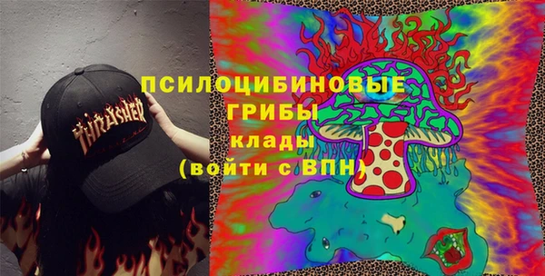 дмт Алексеевка