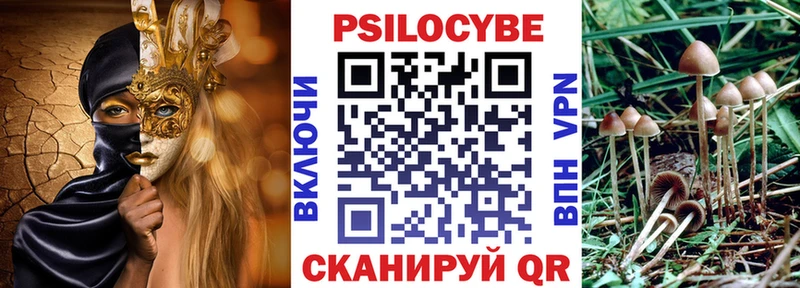Псилоцибиновые грибы GOLDEN TEACHER  Белоозёрский 